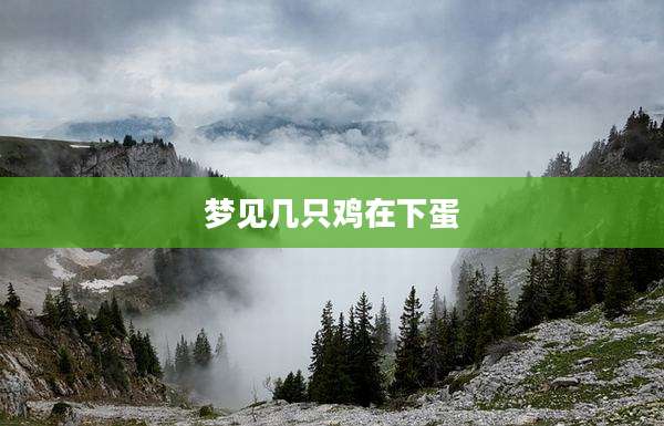 梦见几只鸡在下蛋