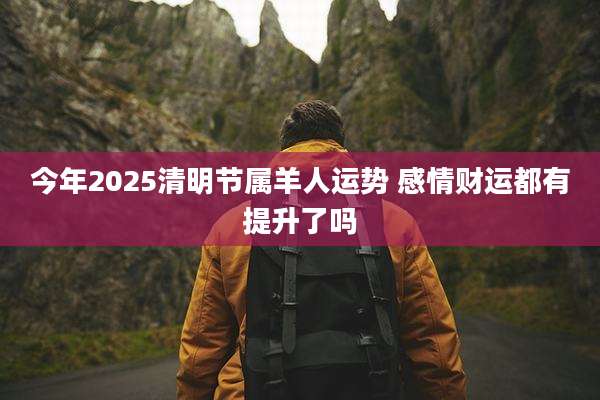 今年2025清明节属羊人运势 感情财运都有提升了吗