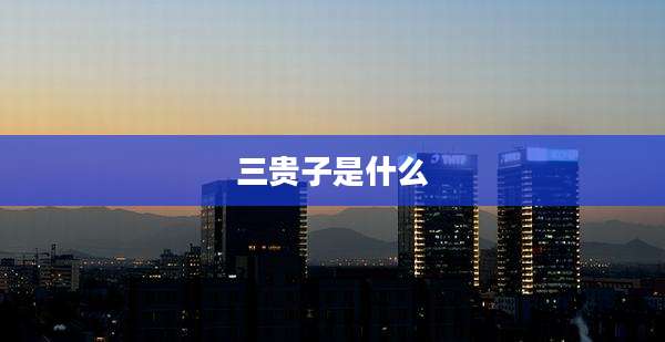 三贵子是什么