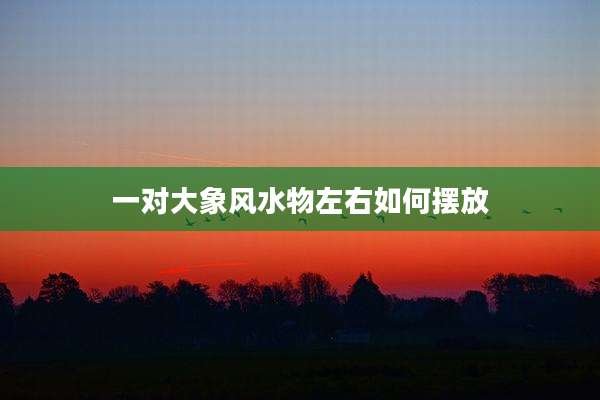 一对大象风水物左右如何摆放