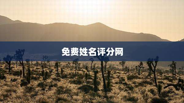 免费姓名评分网