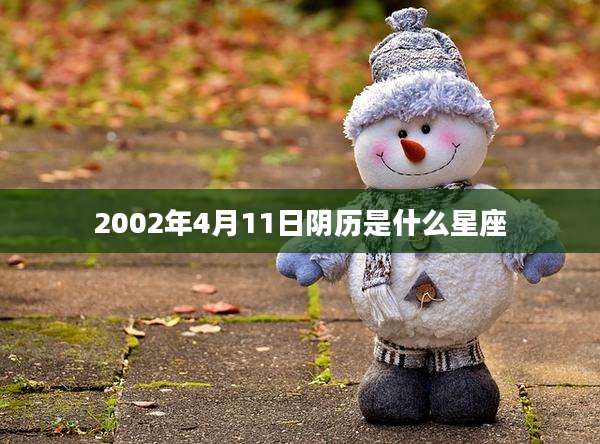2002年4月11日阴历是什么星座