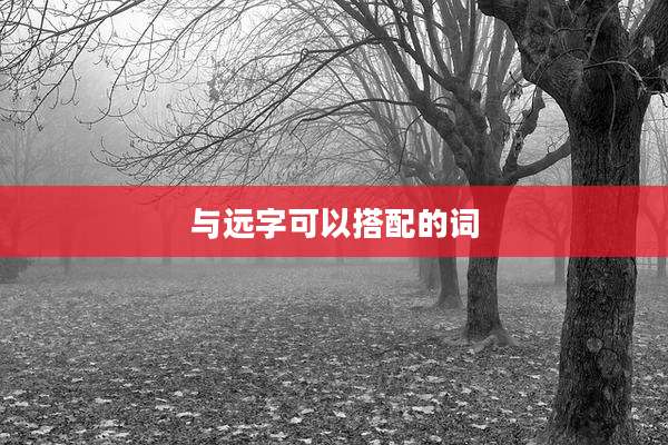 与远字可以搭配的词