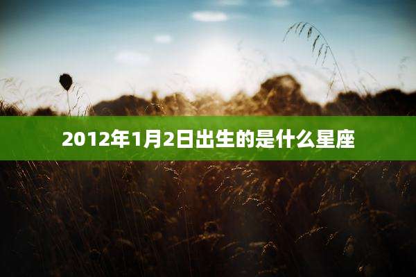 2012年1月2日出生的是什么星座