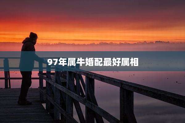 97年属牛婚配最好属相