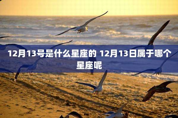 12月13号是什么星座的 12月13日属于哪个星座呢