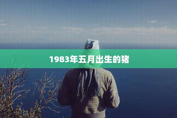 1983年五月出生的猪