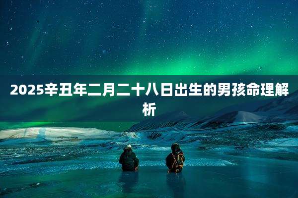 2025辛丑年二月二十八日出生的男孩命理解析