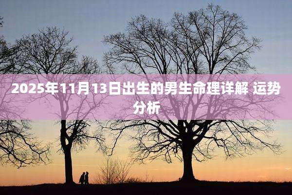 2025年11月13日出生的男生命理详解 运势分析