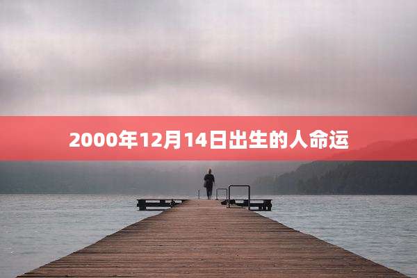 2000年12月14日出生的人命运