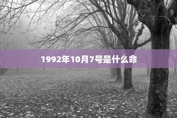 1992年10月7号是什么命