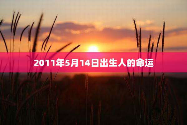2011年5月14日出生人的命运