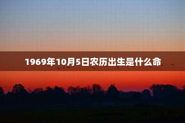 1969年10月5日农历出生是什么命