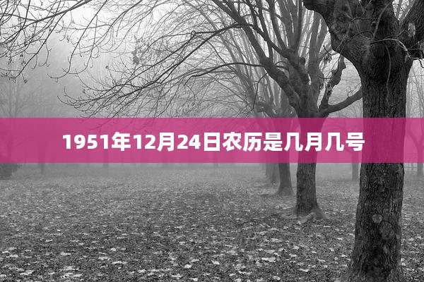 1951年12月24日农历是几月几号
