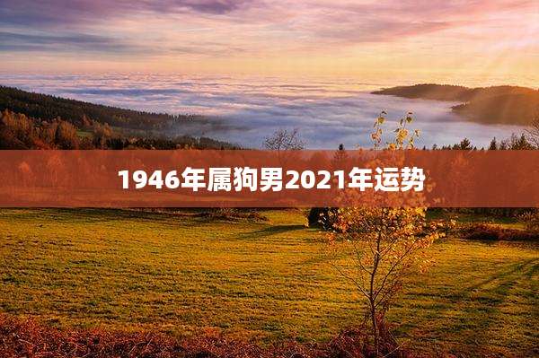 1946年属狗男2021年运势