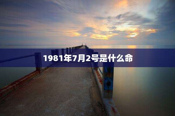 1981年7月2号是什么命