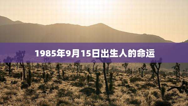 1985年9月15日出生人的命运