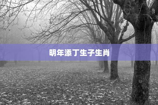 明年添丁生子生肖