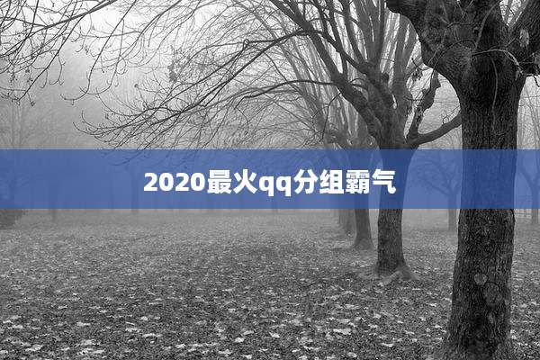 2020最火qq分组霸气