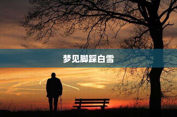 梦见脚踩白雪