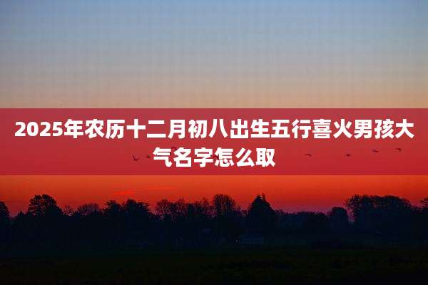 2025年农历十二月初八出生五行喜火男孩大气名字怎么取