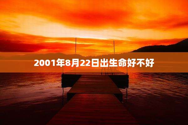 2001年8月22日出生命好不好