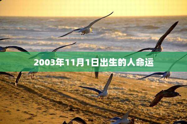 2003年11月1日出生的人命运
