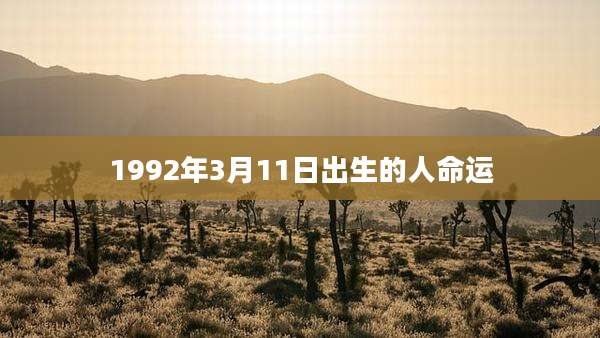 1992年3月11日出生的人命运