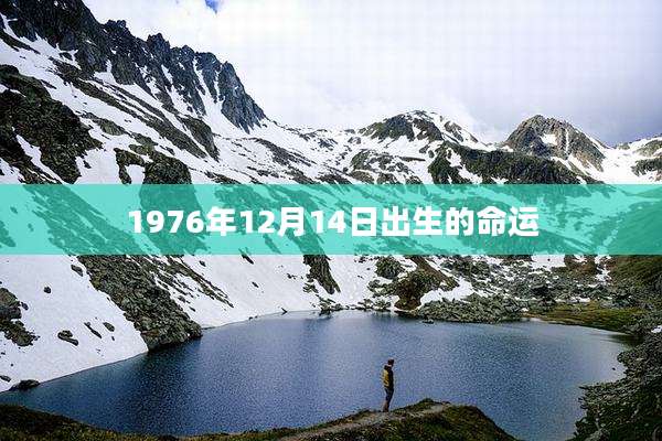 1976年12月14日出生的命运