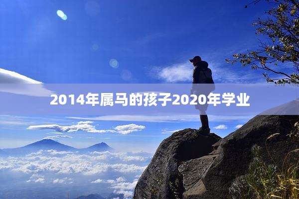 2014年属马的孩子2020年学业