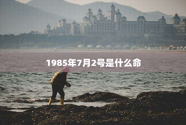 1985年7月2号是什么命