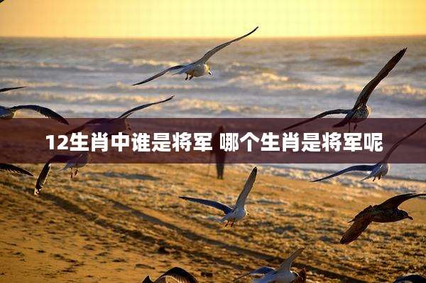 12生肖中谁是将军 哪个生肖是将军呢