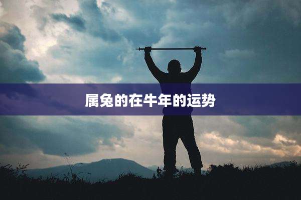 属兔的在牛年的运势