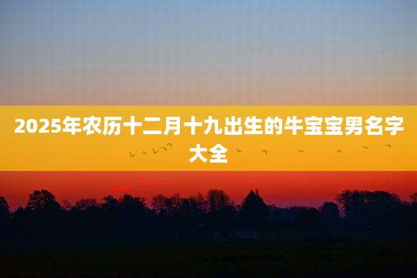 2025年农历十二月十九出生的牛宝宝男名字大全