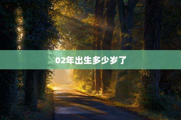 02年出生多少岁了