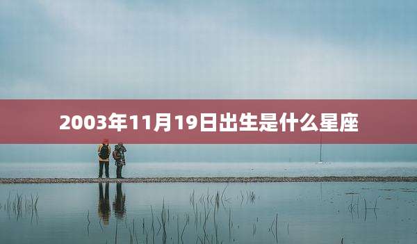 2003年11月19日出生是什么星座