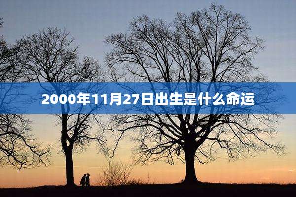 2000年11月27日出生是什么命运