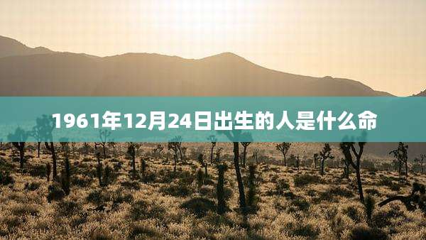 1961年12月24日出生的人是什么命