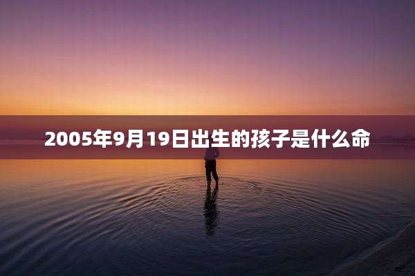 2005年9月19日出生的孩子是什么命
