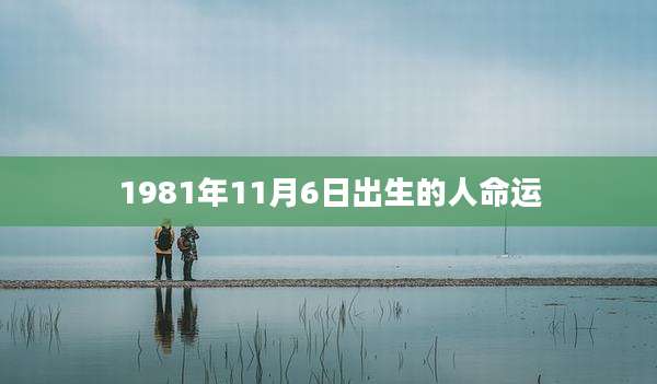 1981年11月6日出生的人命运