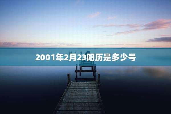 2001年2月23阳历是多少号