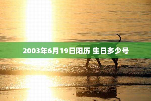2003年6月19日阳历 生日多少号