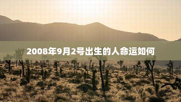 2008年9月2号出生的人命运如何