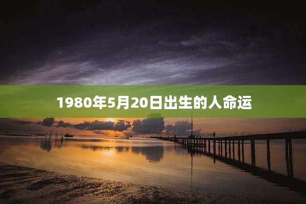 1980年5月20日出生的人命运