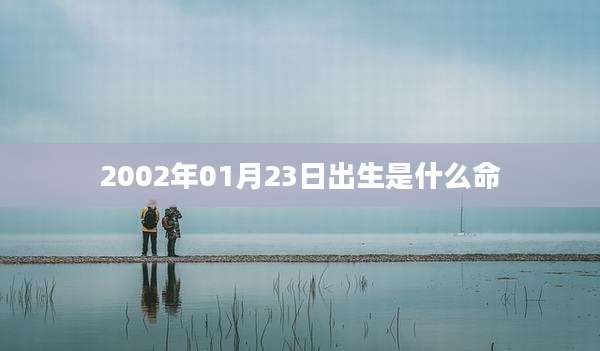 2002年01月23日出生是什么命