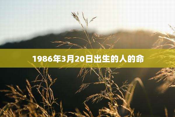 1986年3月20日出生的人的命