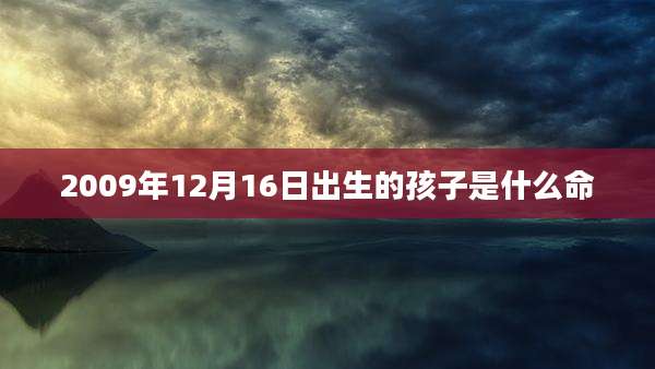 2009年12月16日出生的孩子是什么命