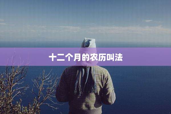十二个月的农历叫法