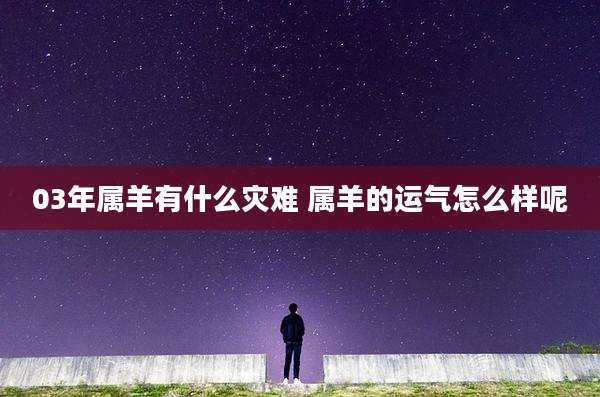 03年属羊有什么灾难 属羊的运气怎么样呢