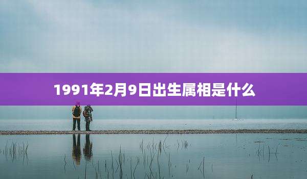 1991年2月9日出生属相是什么